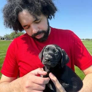 Little Bit Of Sunshine