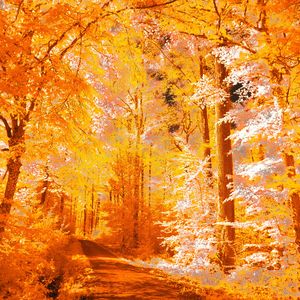 [FREE] Lawsy x Jssr Type Beat "Autumn"