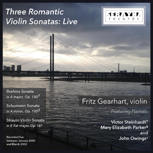 Sonata for Violin and Piano in A Major, Op. 100: I. Allegro amabile (Live)