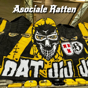 Asociale Ratten