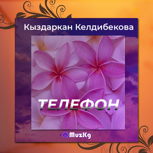 Туулган кун