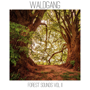 Forest Sounds, Pt. 5