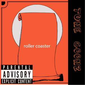 Roller Coaster