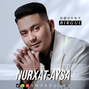 BirGul 新改版