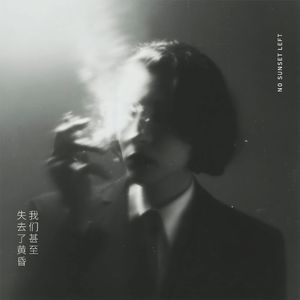 我们甚至失去了黄昏