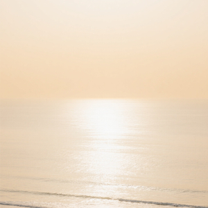 Sea of Ivory