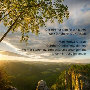 Der Hirt auf dem Felsen