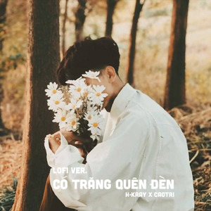 Có Trăng Quên Đèn (Lofi)