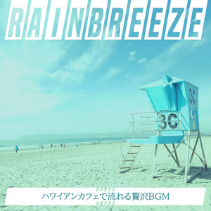 Seashell Whispers at Sunset