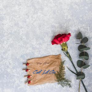 Can't Let Go(Album Out 4/3)