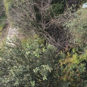 我在等待一个完满（demo）