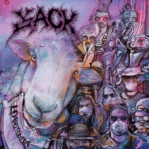 ELhagyott generáció