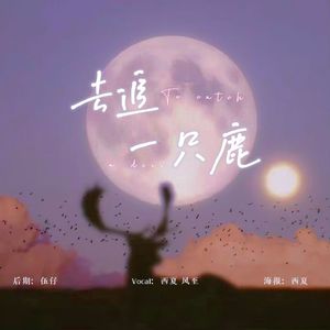 去追一只鹿