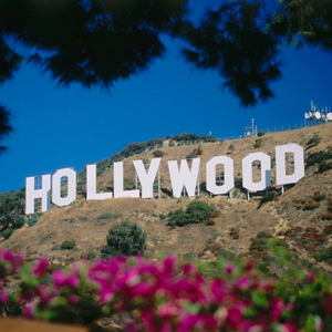 Hollywood Fix!