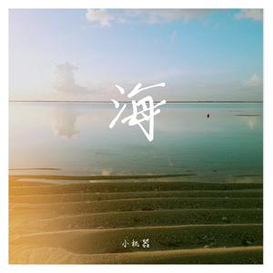 夜晚海边的月光