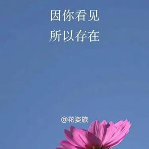 花与此景