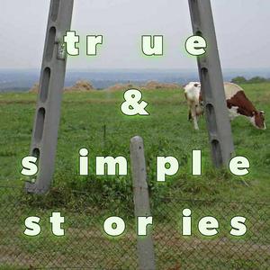Morning Walk, Grass, Glass, Plastic Junk