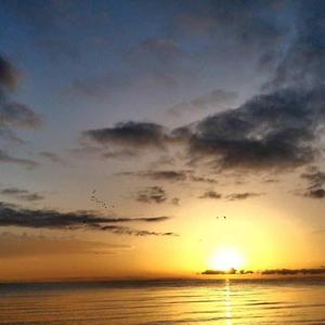 你的笑容是世界最美好的药