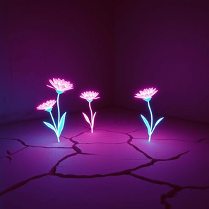 NEON GRAVE