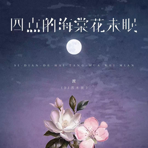 四点的海棠花未眠 (DJ西米版)