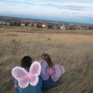 最后把自己还给故乡