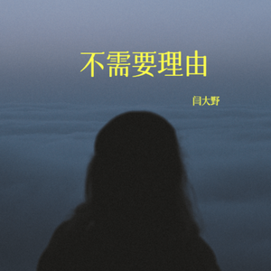 不需要理由