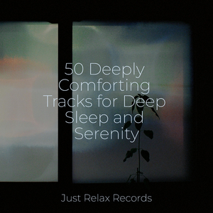 Enchanted Flight of Whimsy