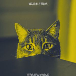 温和放松的猫梦想