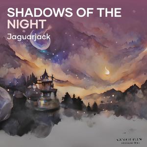 Shadows of the Night (Acoustic)