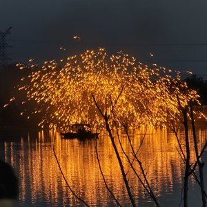 你教会我独立，却没收我快乐的权利