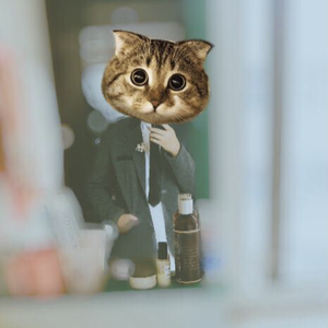 错的时间遇见对的你（翻自 郑亦辰）