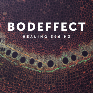 Multiples (396 Hz with 0.7 Hz Delta wave)