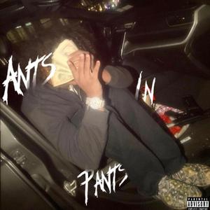 Ants in Pants
