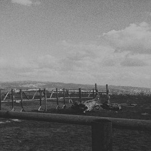 Avuçlarımda Akan Şelaleler