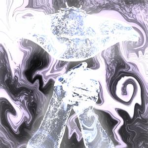 Saturniide Night Butterfly