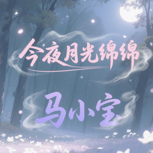 月光记忆(今夜月光绵绵)