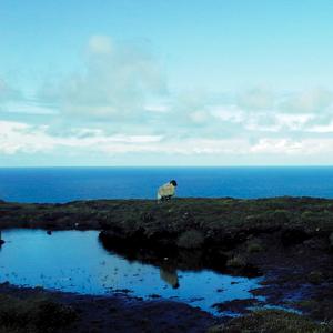 Bean Pháidín (feat. Jennie Joyce & The Winter Court)