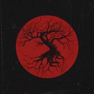 不到三分钟热度