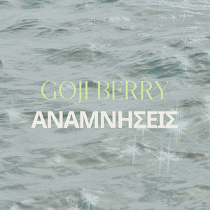 Anamniseis (Remix)