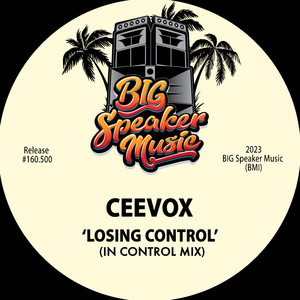 Losing Control (In Control Mix)