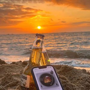 反对无效（翻唱）Ty.熊