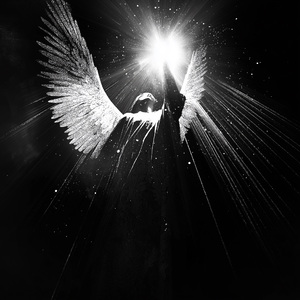 angeldust
