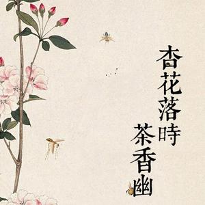杏花落时茶香幽（翻自 清弄 许多葵）