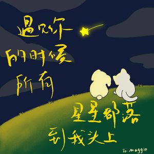 遇见你的时候所有星星都落到我头上