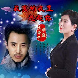 寂寞的夜里想起你