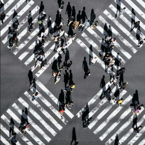 [Free]'分岔口' Rapeter x SharK New Boombap Type Beat