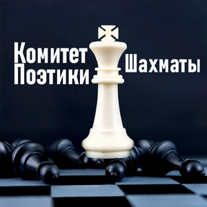 Шахматы