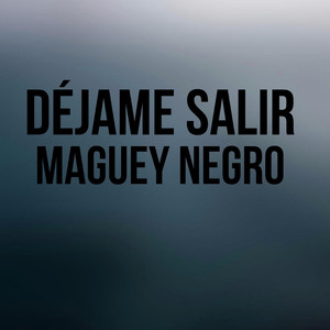 Déjame Salir