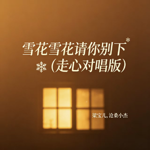 雪花雪花请你别下(走心对唱版)