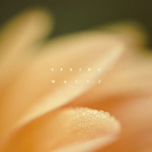 스프링 왈츠